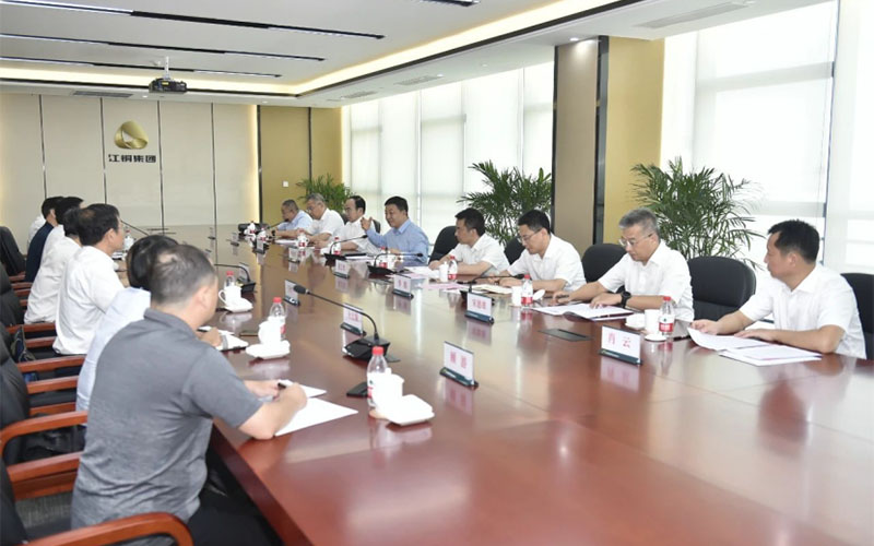 叶建春省长专题座谈会上董事长张炎惠做集团铜产业发展汇报